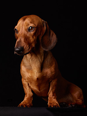 Archie