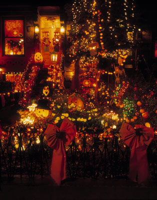 Carroll Gardens